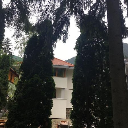 Manyi Villa BaileTusnad Exteriér fotografie