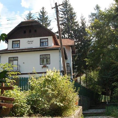 Manyi Villa BaileTusnad Exteriér fotografie