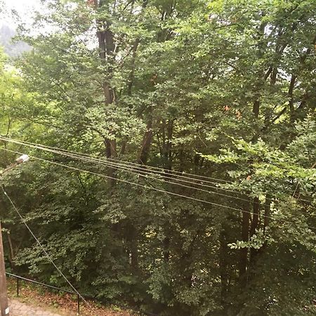 Manyi Villa BaileTusnad Exteriér fotografie