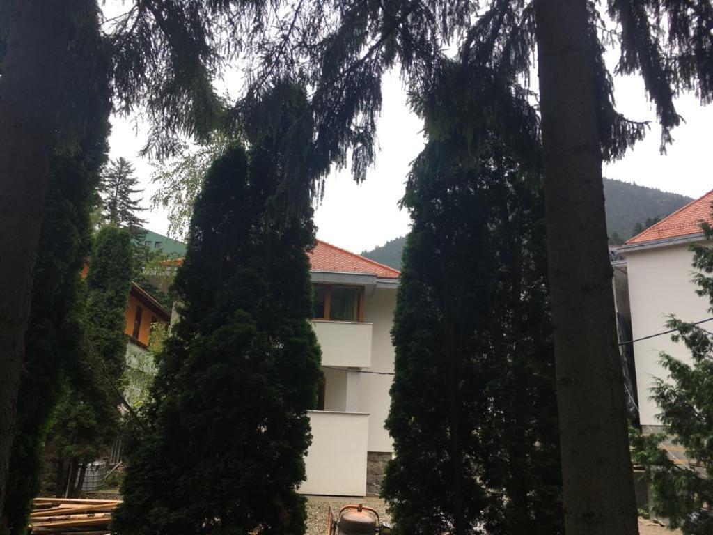 Manyi Villa BaileTusnad Exteriér fotografie