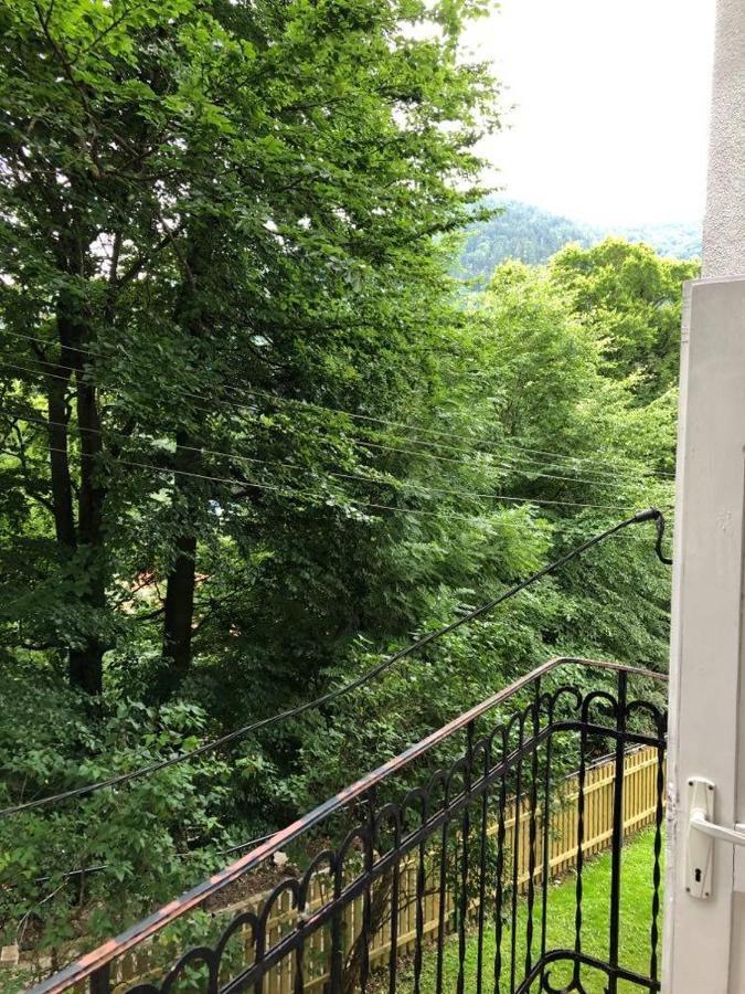 Manyi Villa BaileTusnad Exteriér fotografie